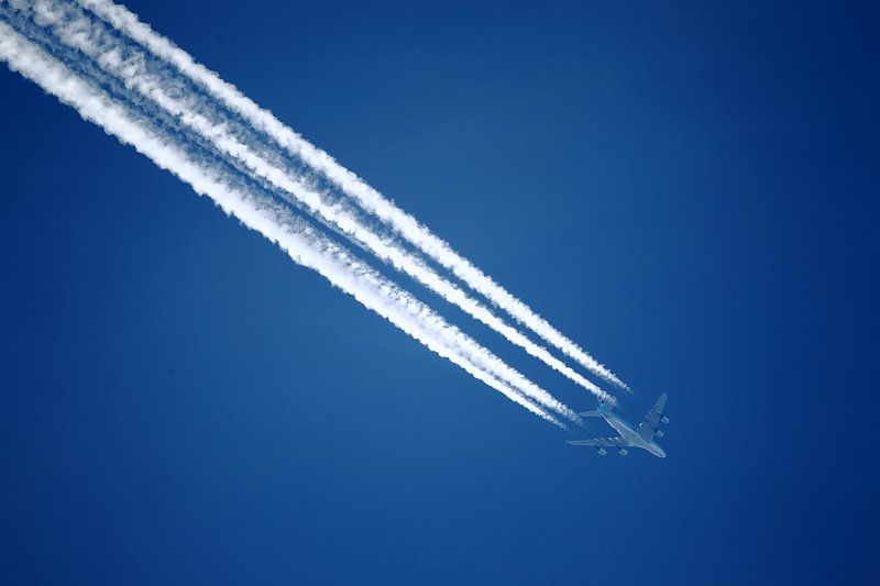 ��̕���