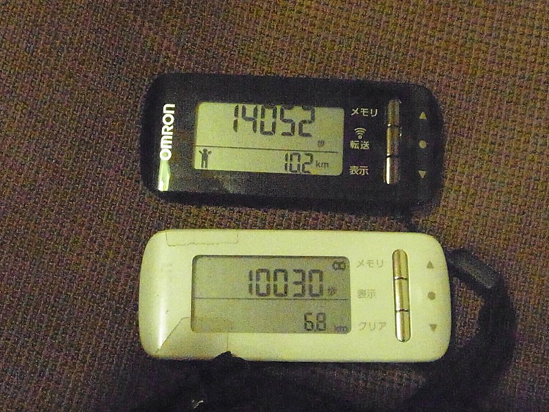 ��̕���