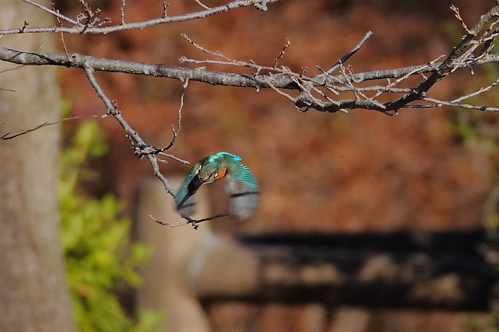 ��̕���