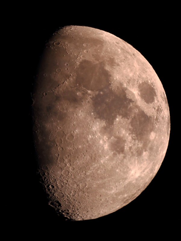 ��̕���