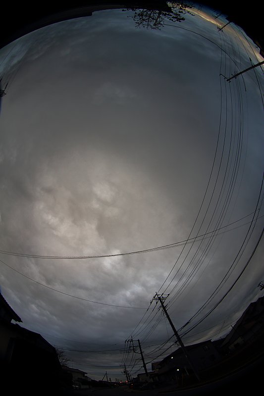 ��̕���