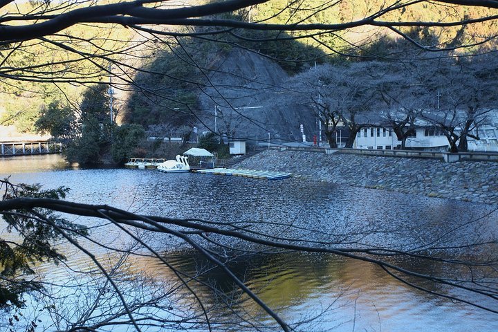 ��̕���