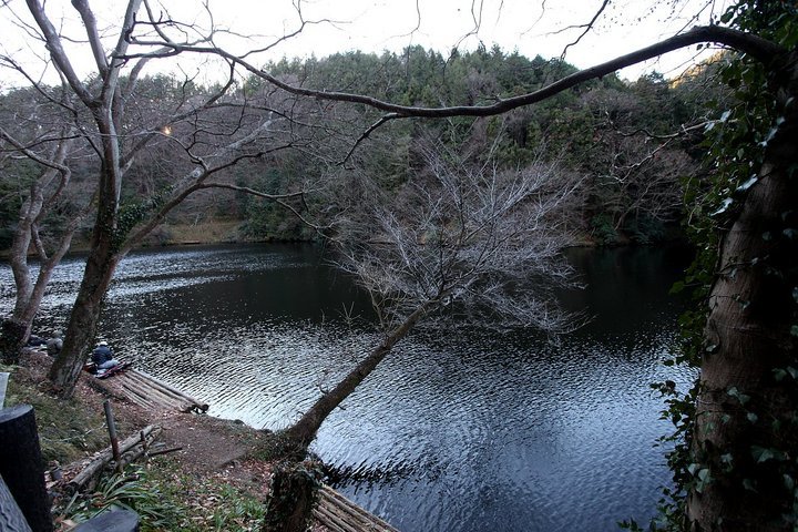 ��̕���