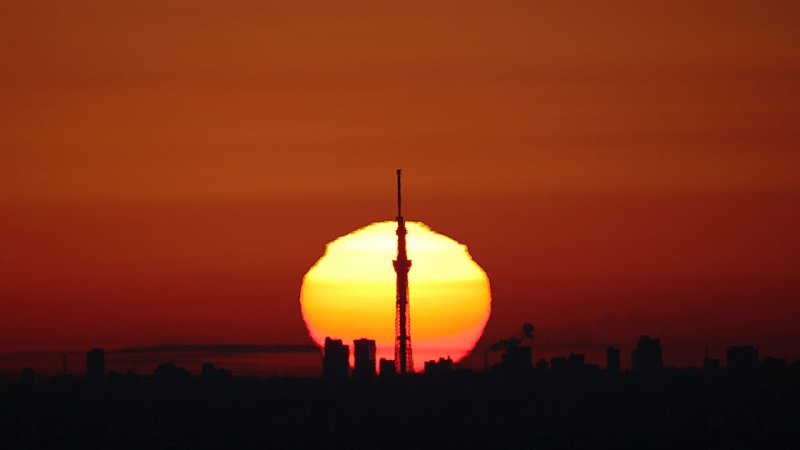 ��̕���