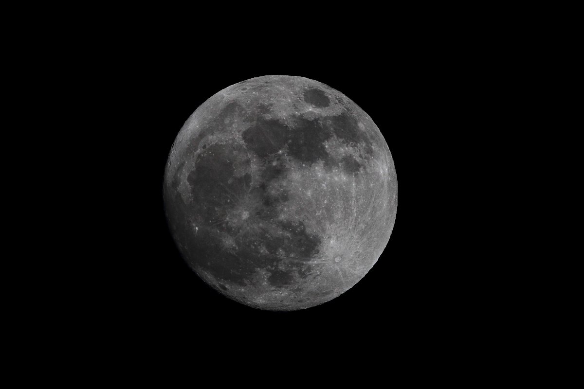 ��̕���