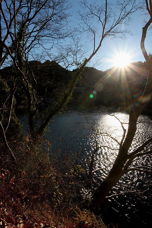 ��̕���