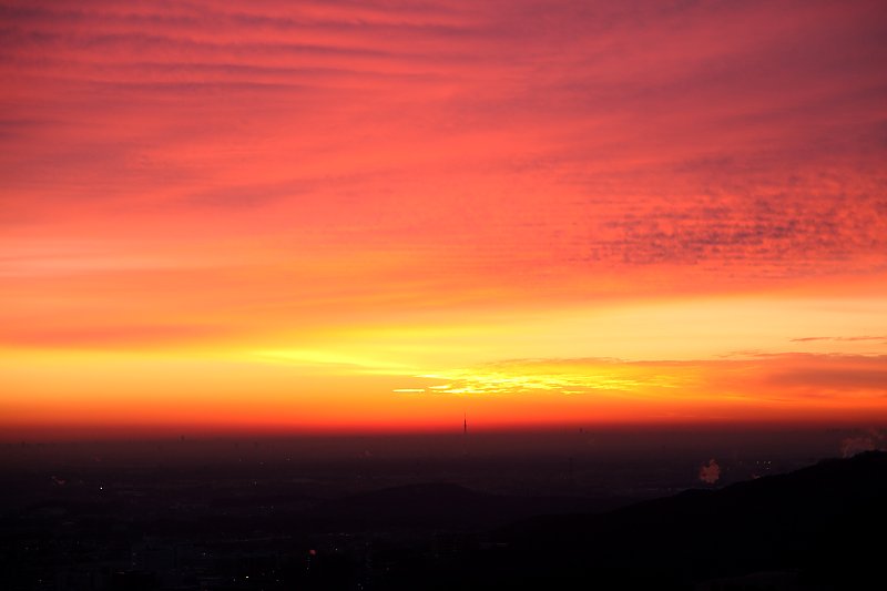 ��̕���