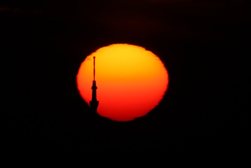 ��̕���