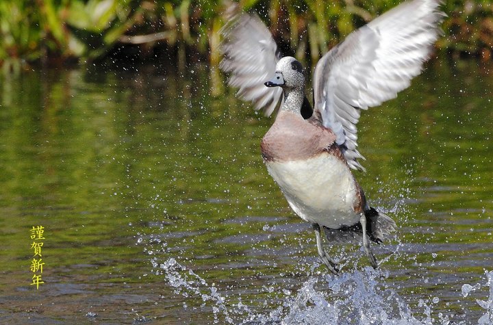 ��̕���