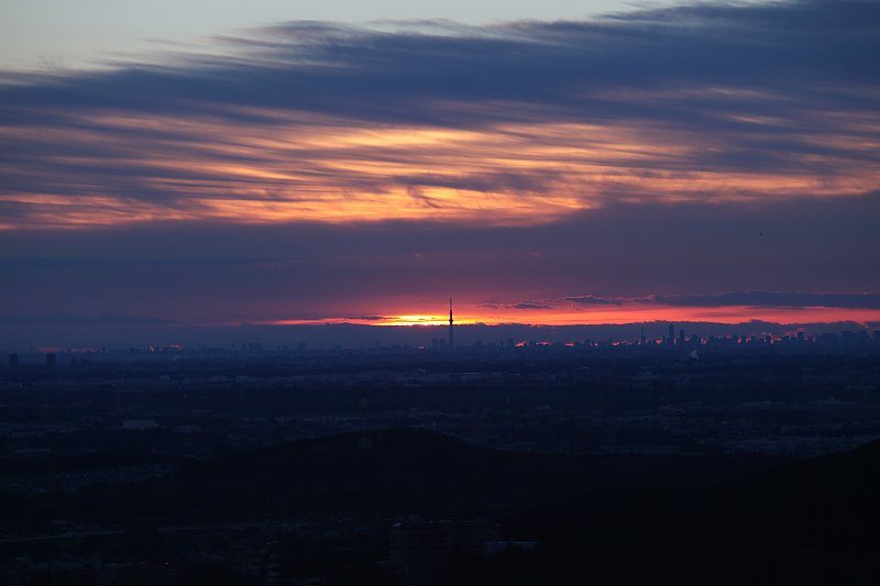 ��̕���