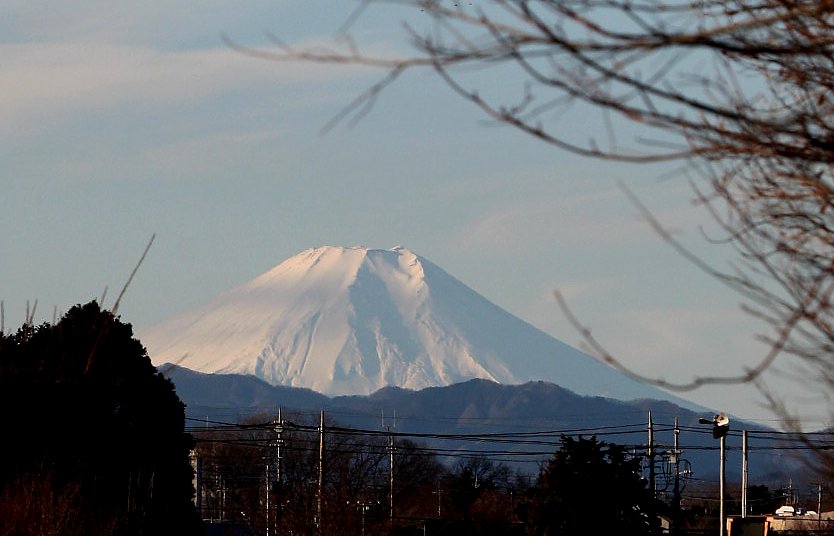 ��̕���