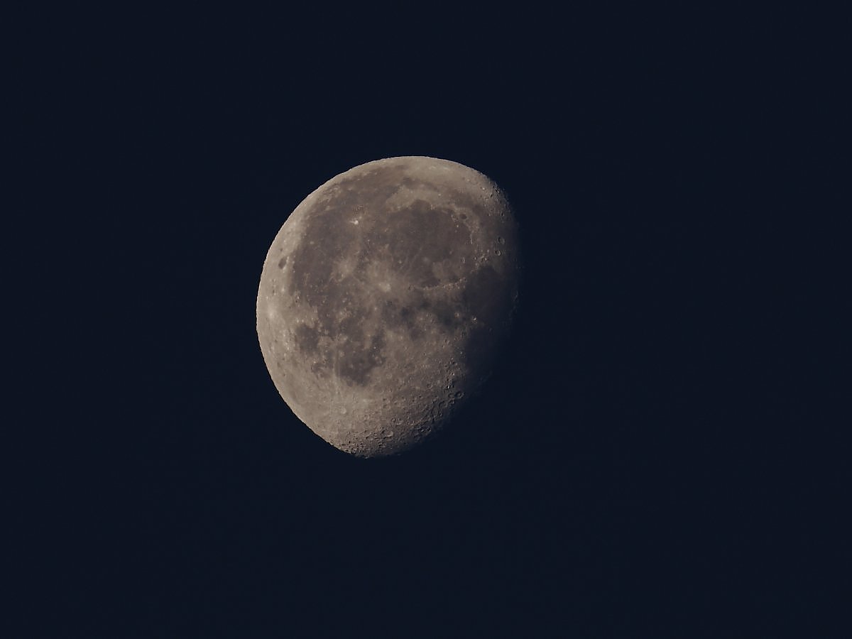 ��̕���