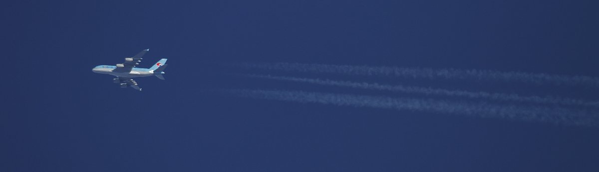 ��̕���