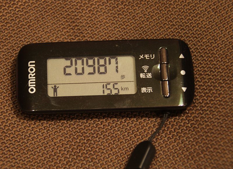 ��̕���