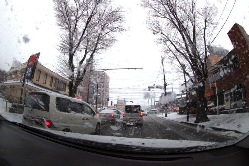 ��̕���