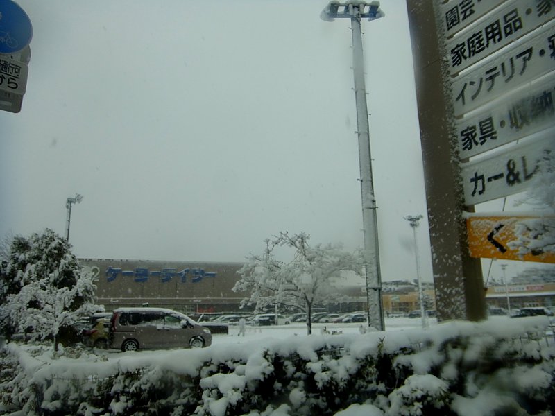 ��̕���