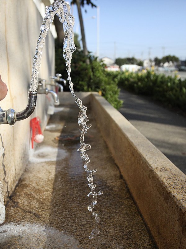 ��̕���