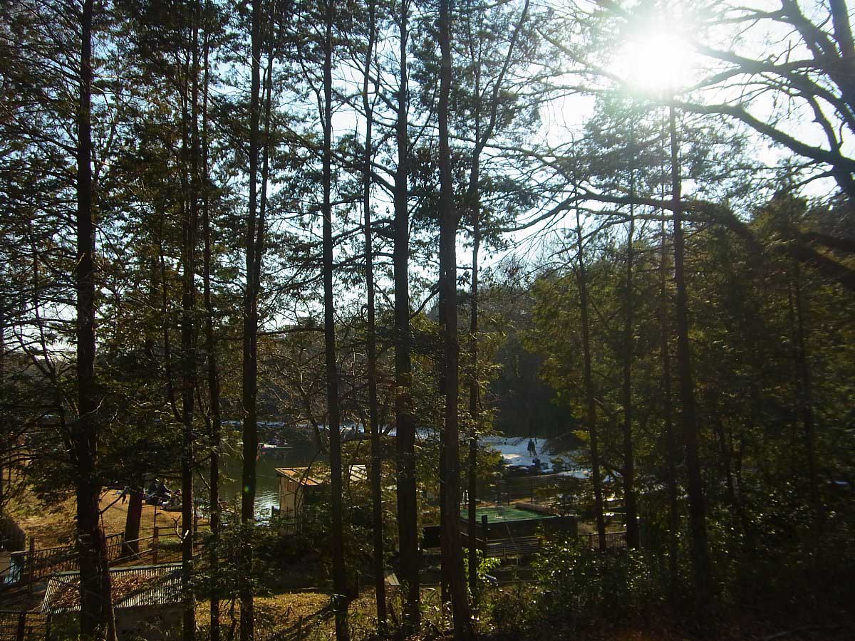 ��̕���