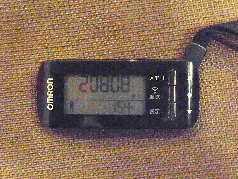 ��̕���