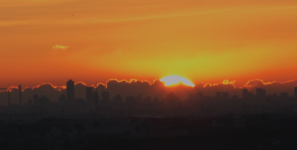 ��̕���