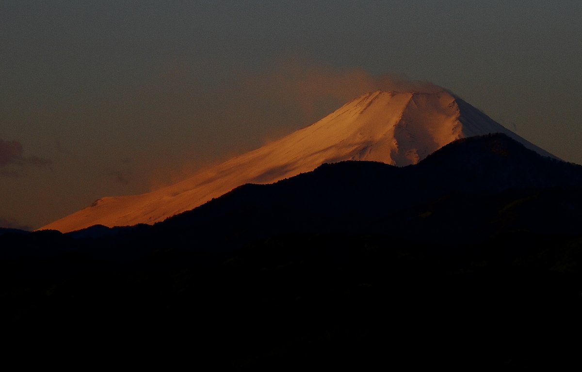 ��̕���