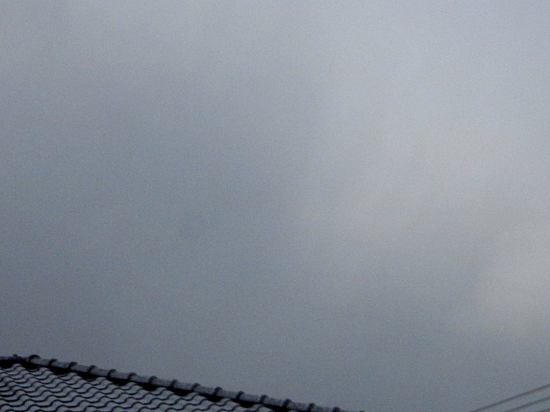 ��̕���