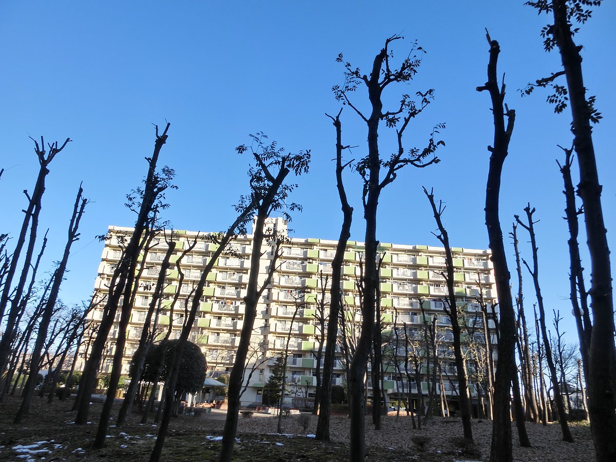 ��̕���