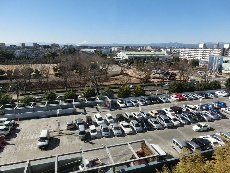 ��̕���