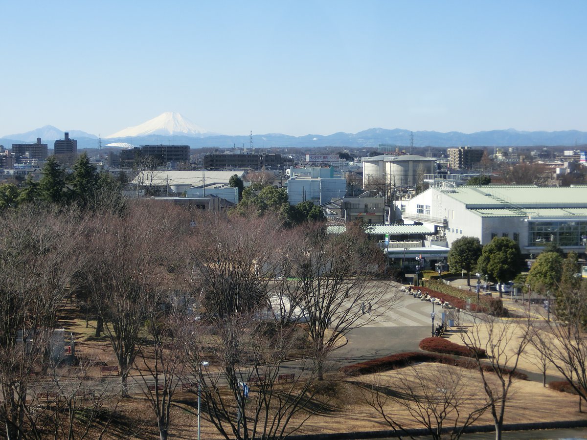 ��̕���