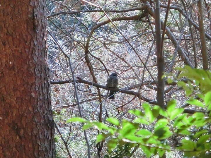 ��̕���