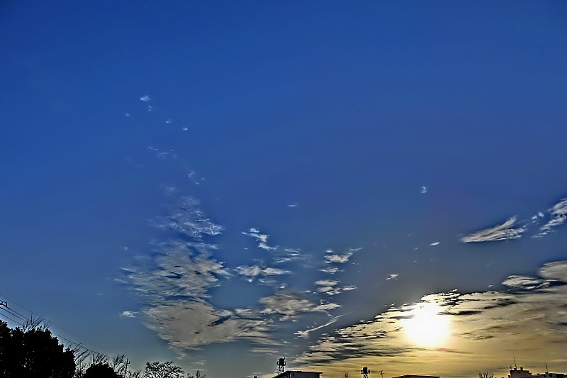 ��̕���