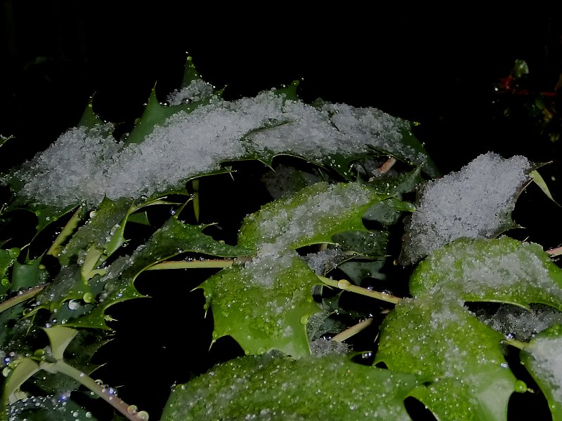 ��̕���