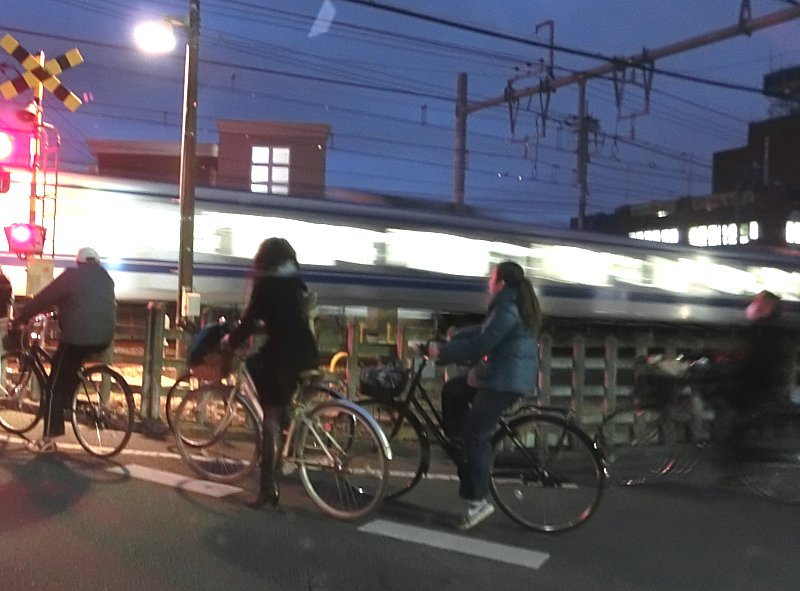 ��̕���