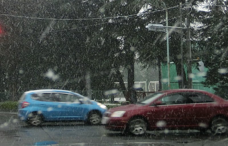 ��̕���