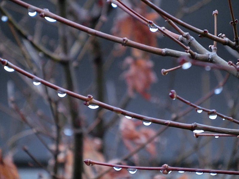 ��̕���