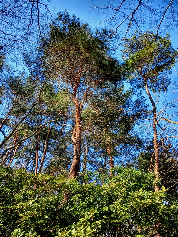 ��̕���