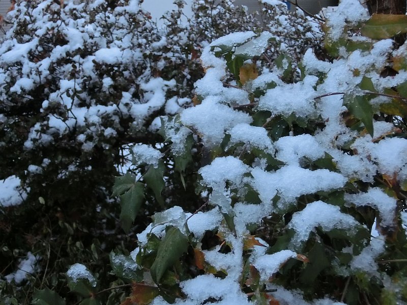 ��̕���