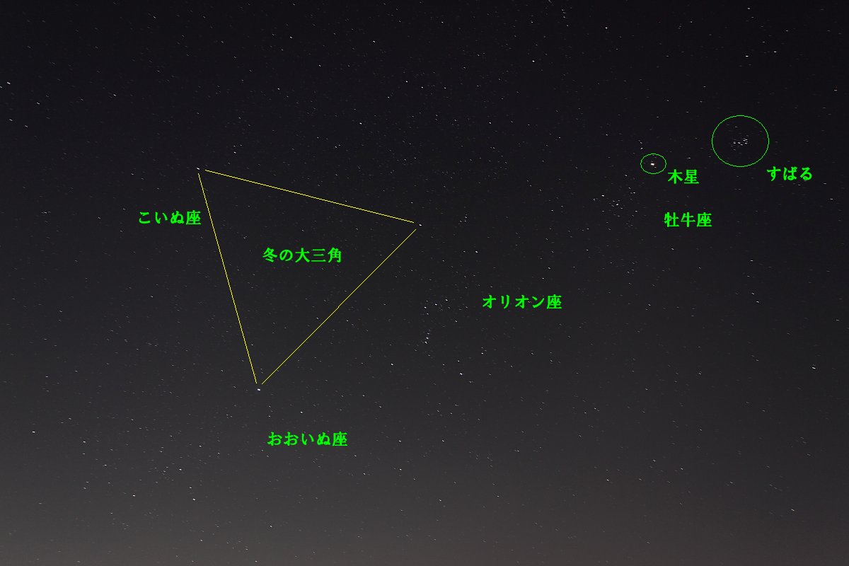 ��̕���