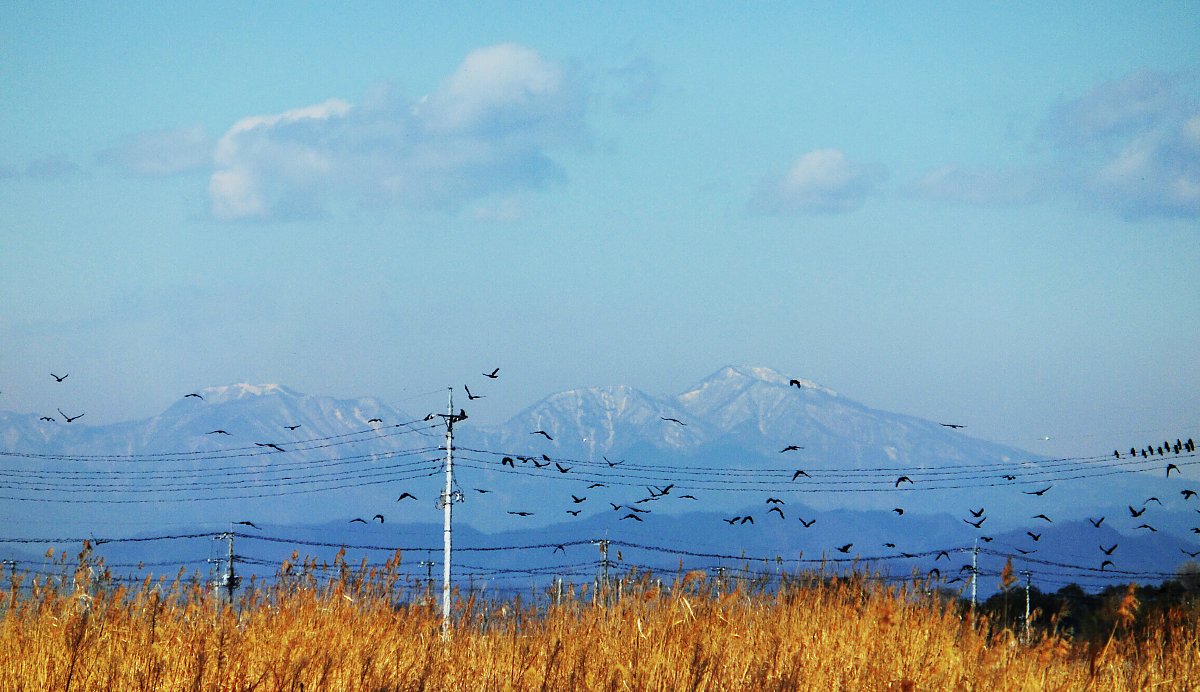 ��̕���