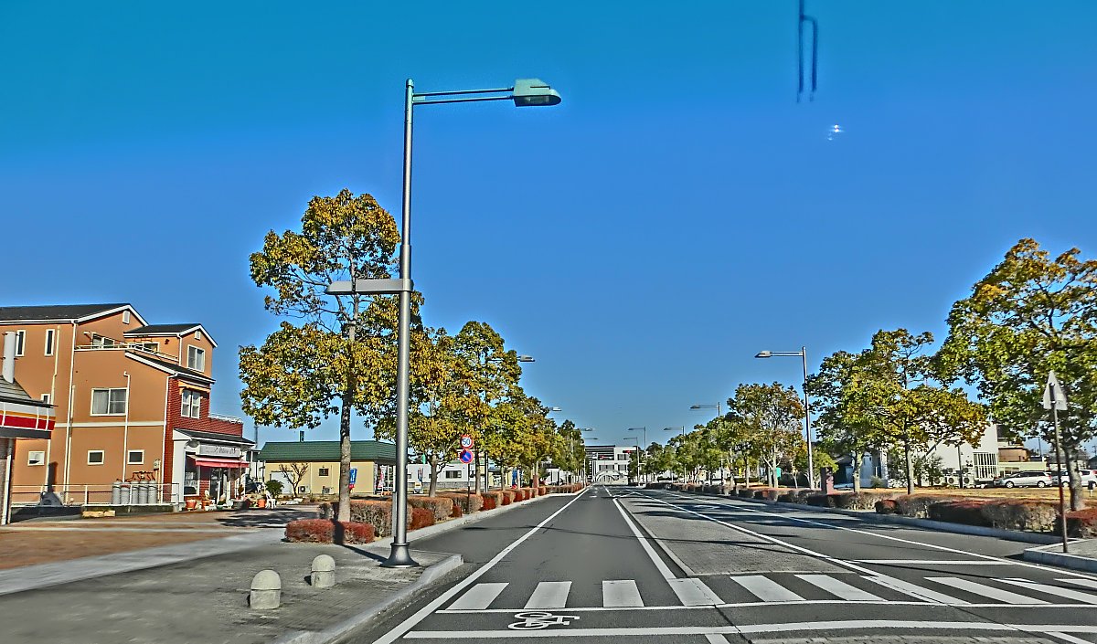 ��̕���