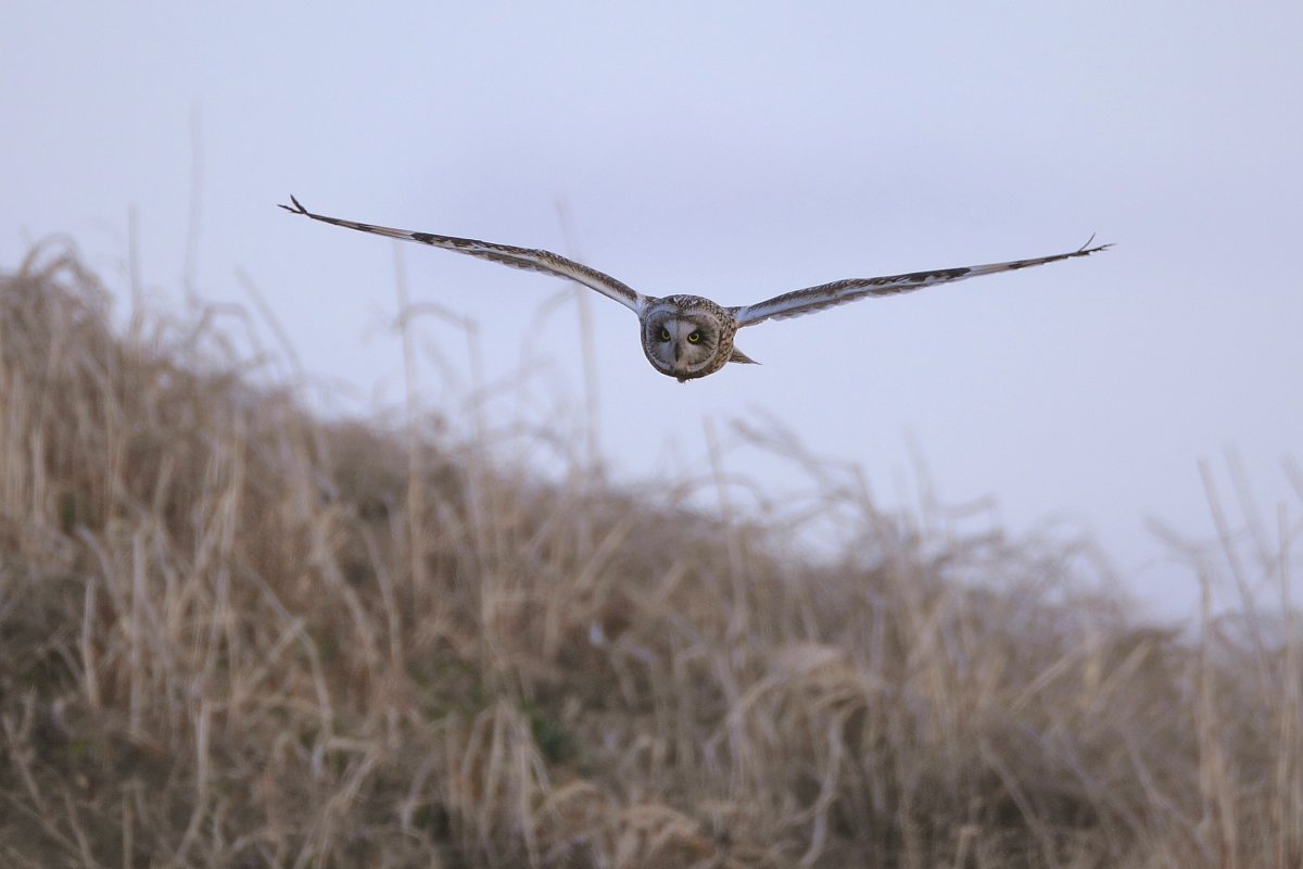 ��̕���