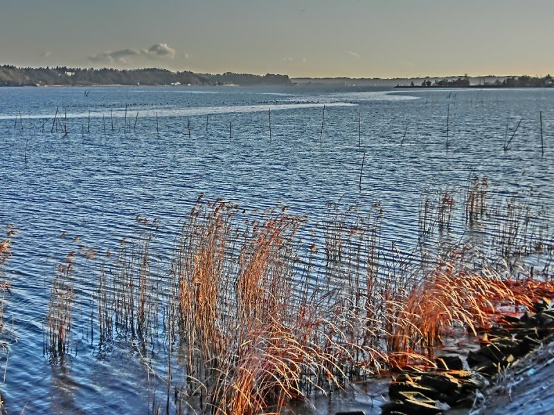 ��̕���