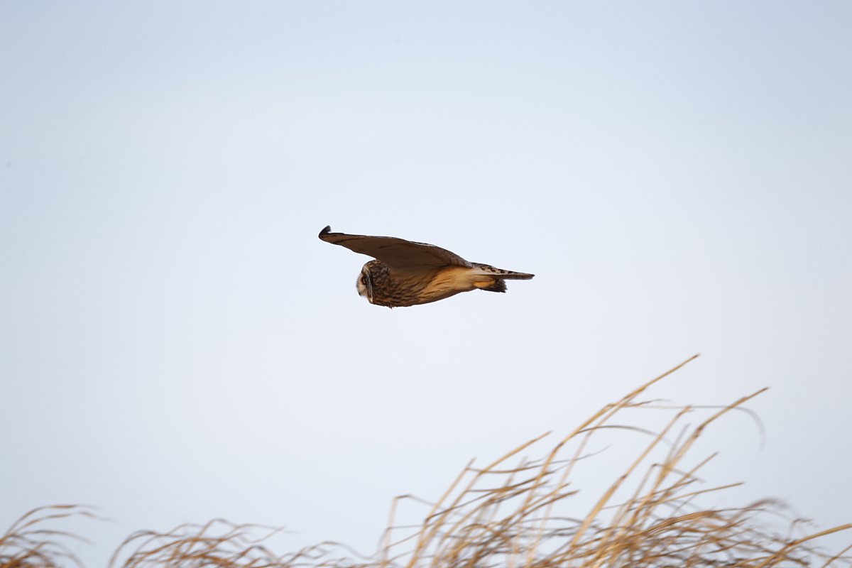 ��̕���