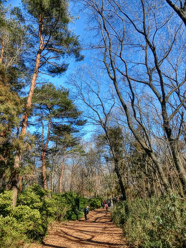 ��̕���