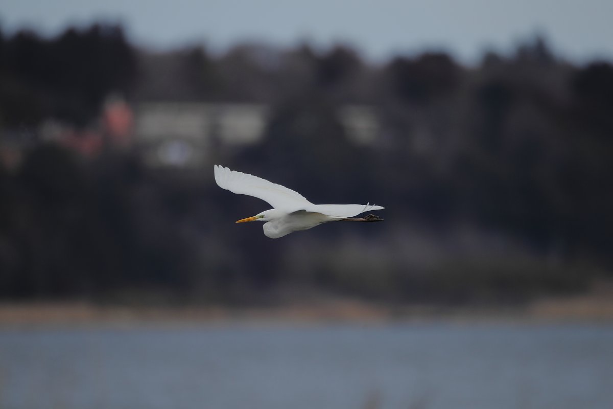 ��̕���