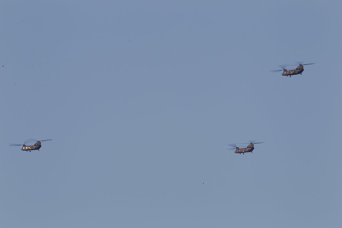 ��̕���