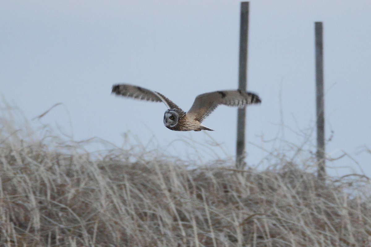 ��̕���