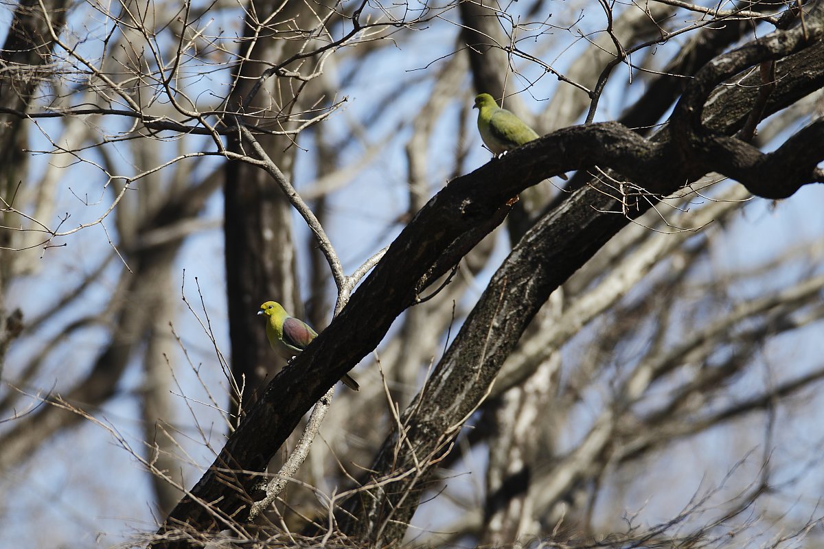 ��̕���