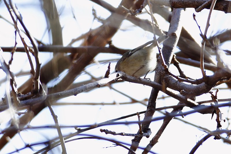 ��̕���