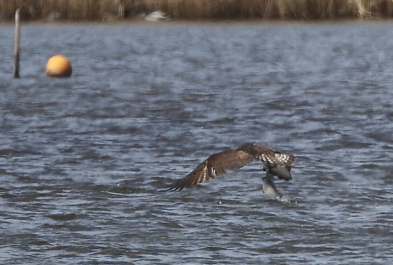 ��̕���